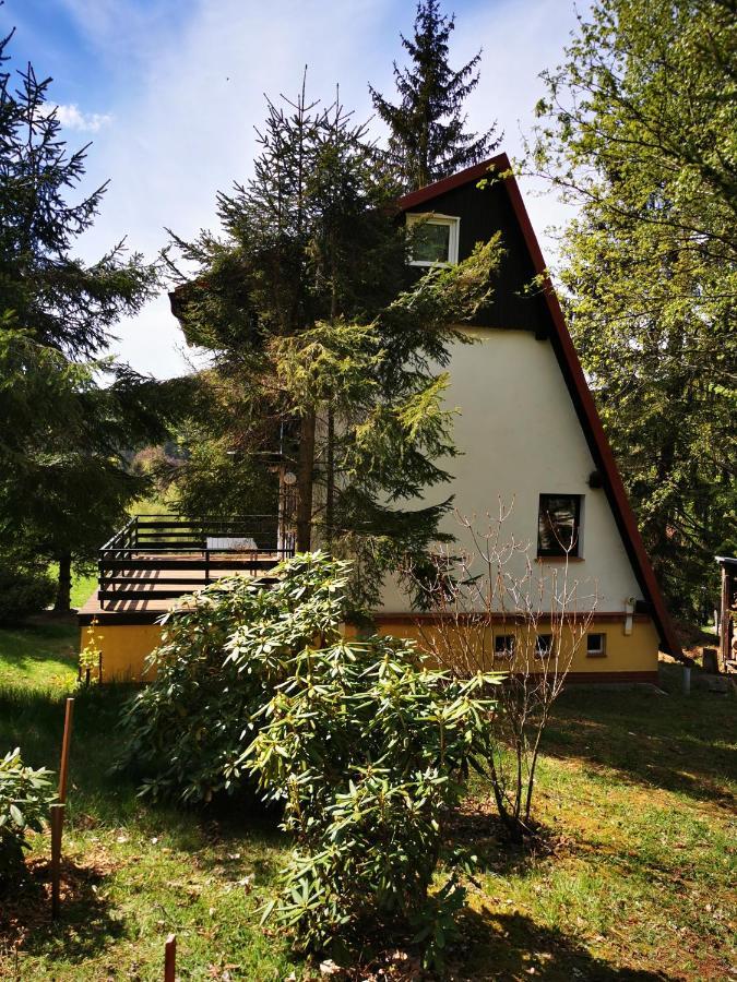 Wojtowka 16 Villa Lądek-Zdrój Exteriör bild