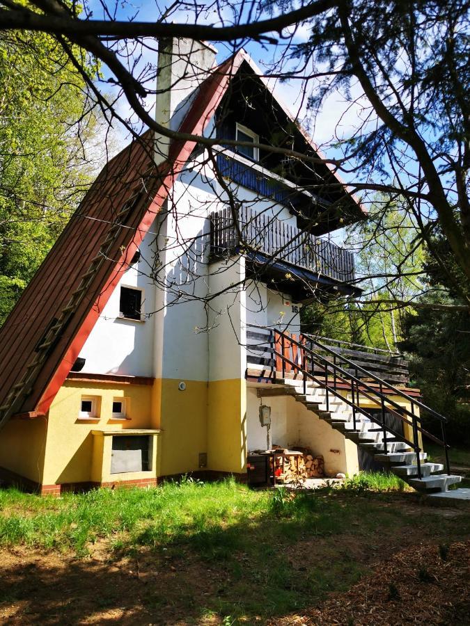Wojtowka 16 Villa Lądek-Zdrój Exteriör bild