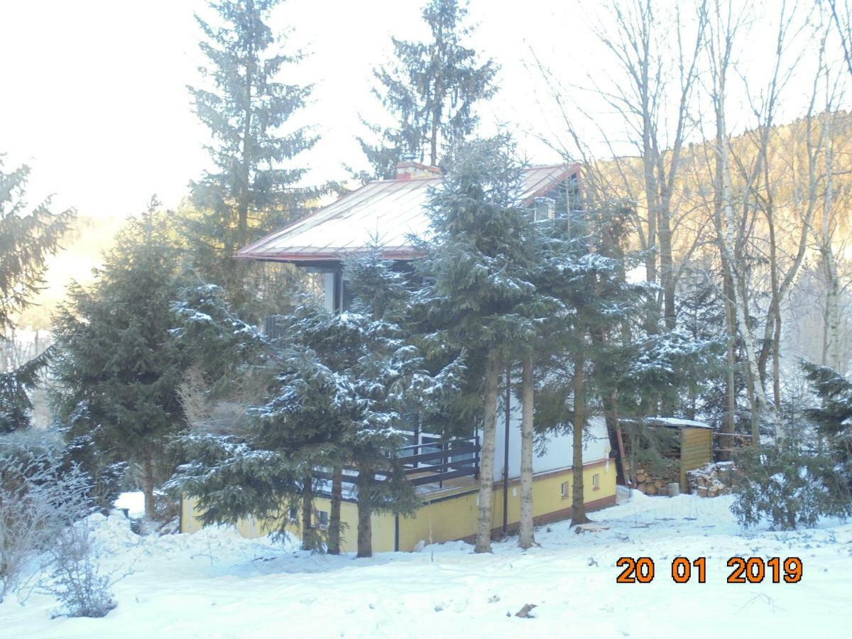 Wojtowka 16 Villa Lądek-Zdrój Exteriör bild